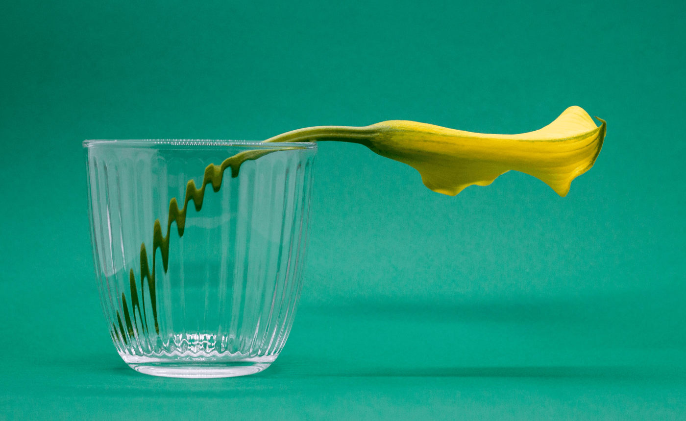 Complete Trello Fundamentals – Beginners to Advanced